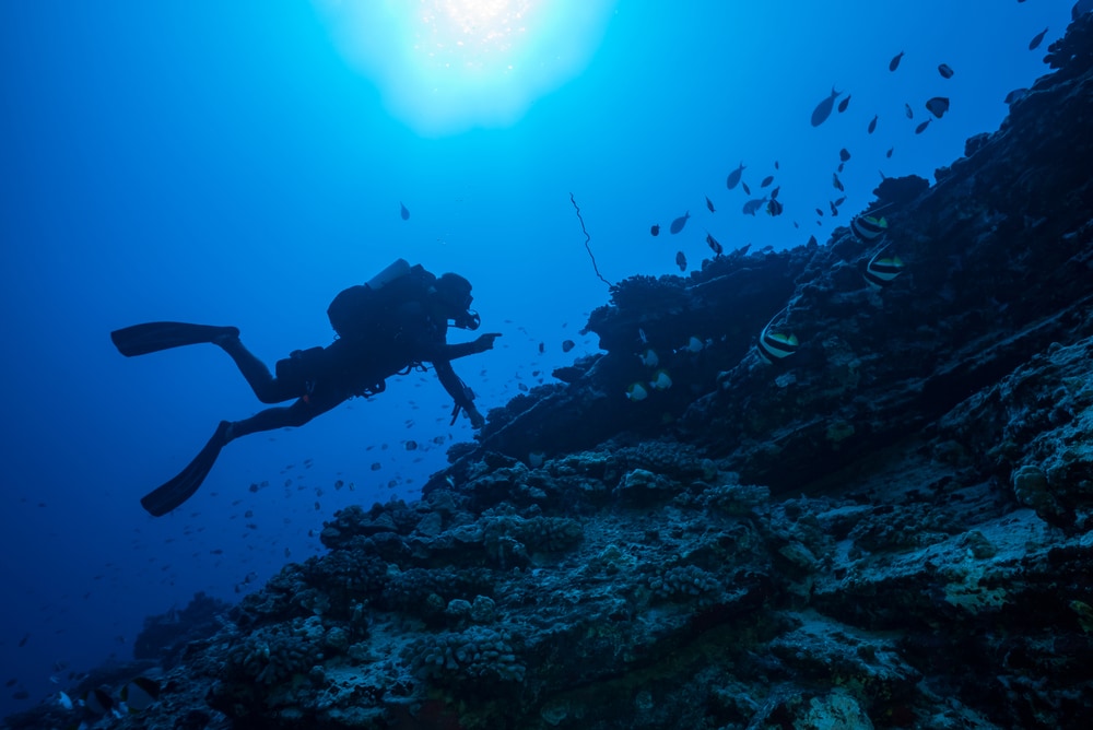 Diver discovering the deep ocean