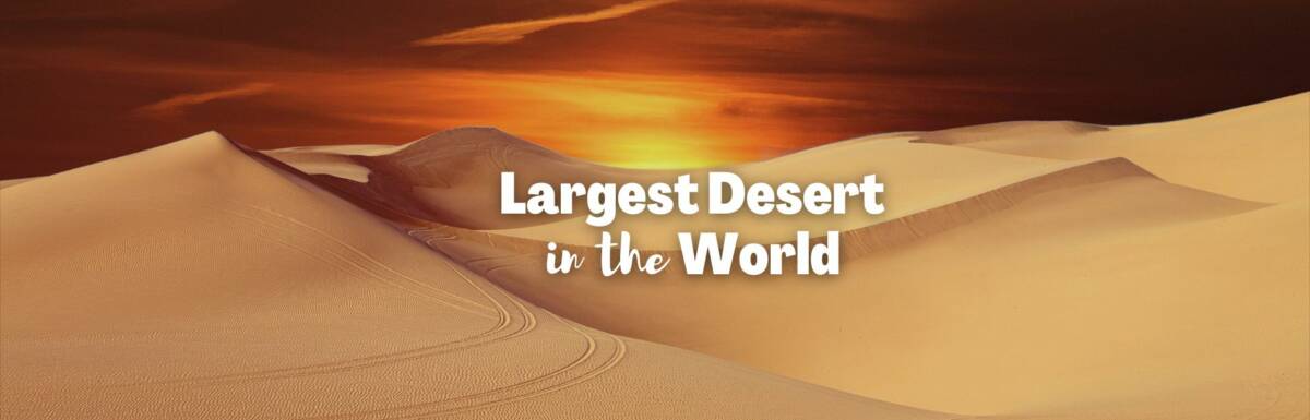 largest desert in the world featured image