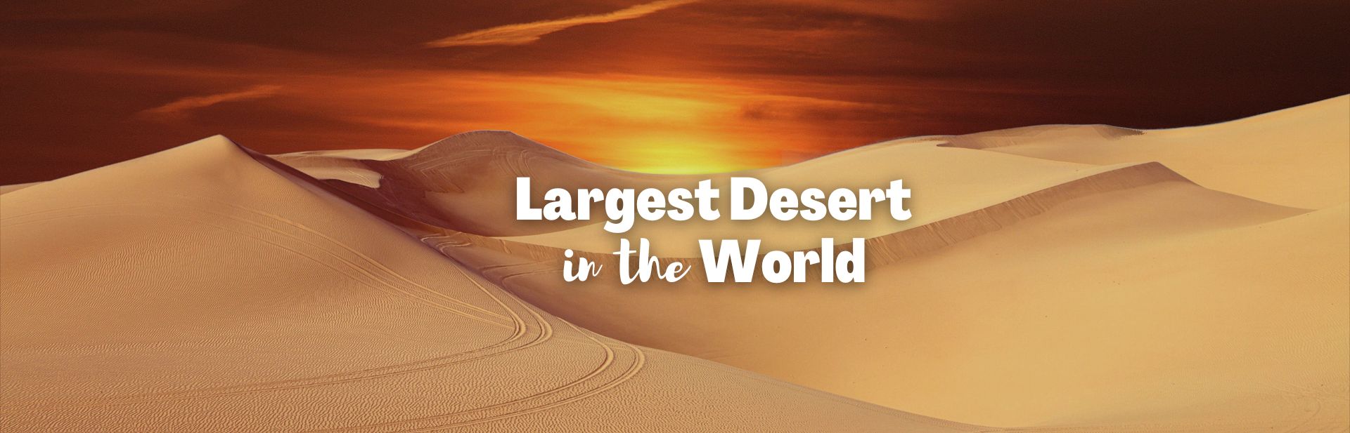 What is the Largest Desert in the World? Discover the Surprising Answer