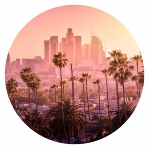 palm trees in Los Angeles skyline