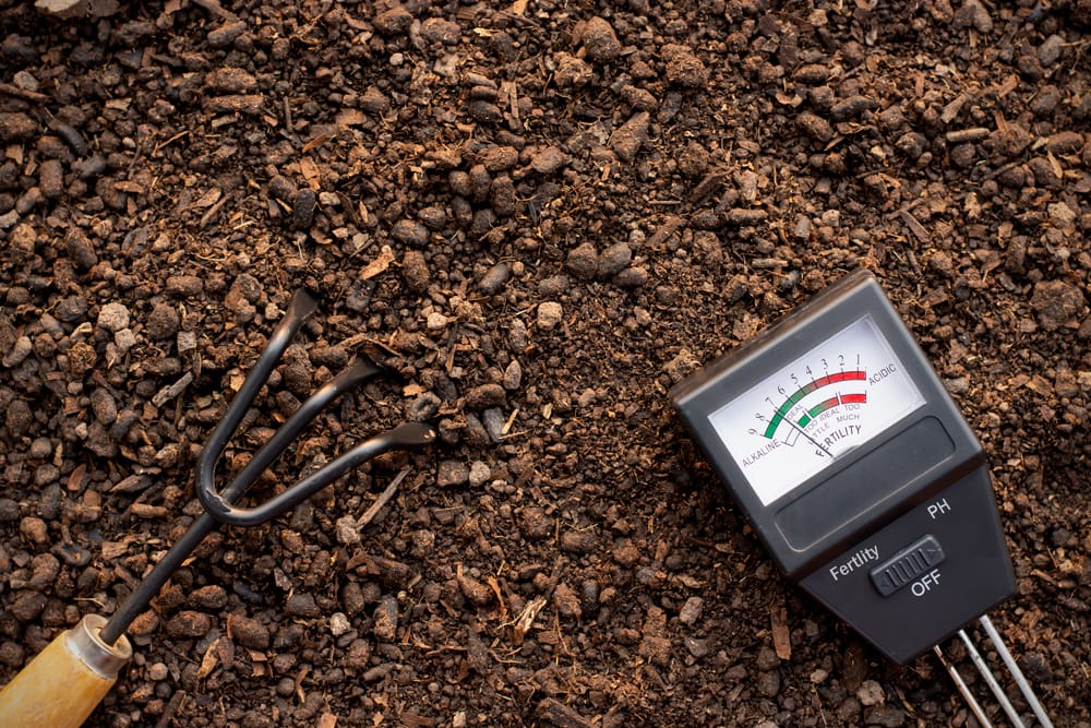 an acid meter tester on a soil