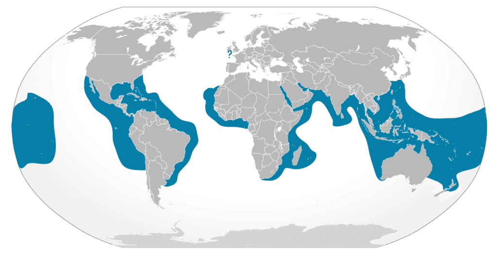 map of the distribution and range of a tiger shark