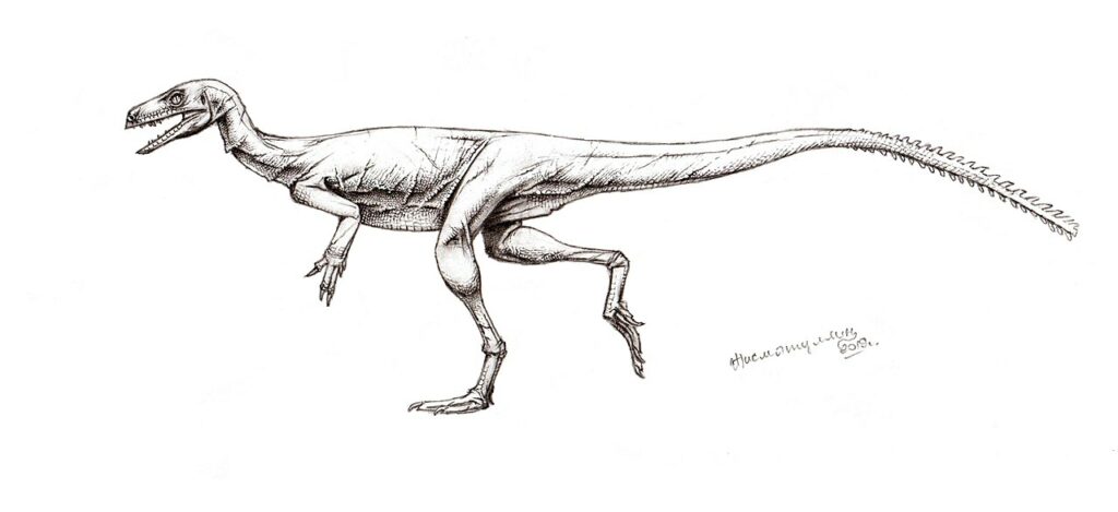 Sketch of a Eoraptor