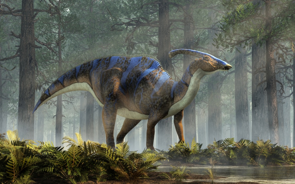 Illustration of a dinosaurs inside the forest