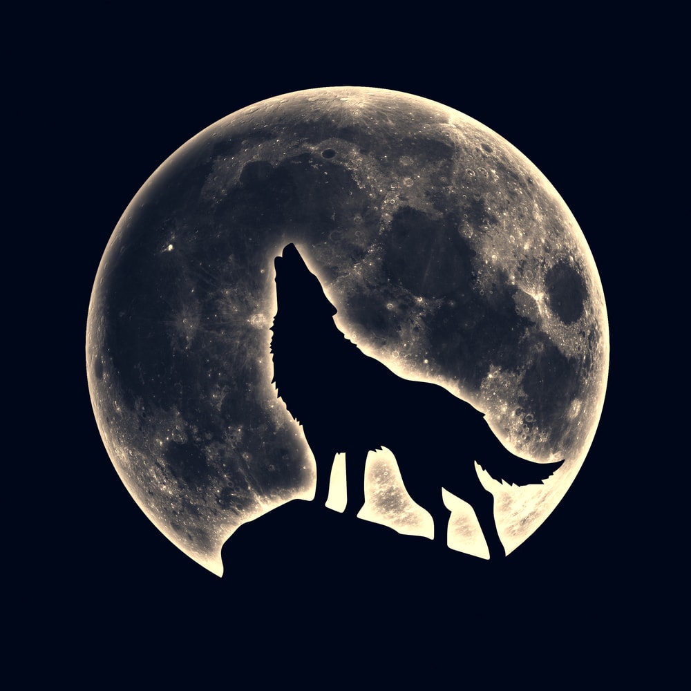 Illustration of wolf howling with moon on its back