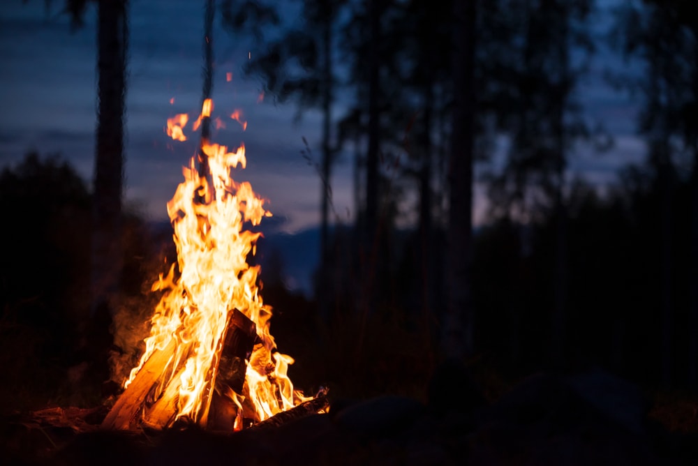 burning campfire in the forest