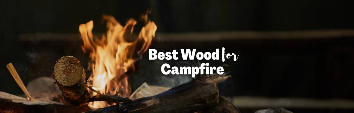 best wood for campfire featured image