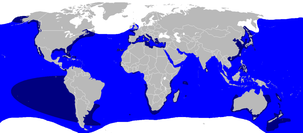 Great white shark distribution map