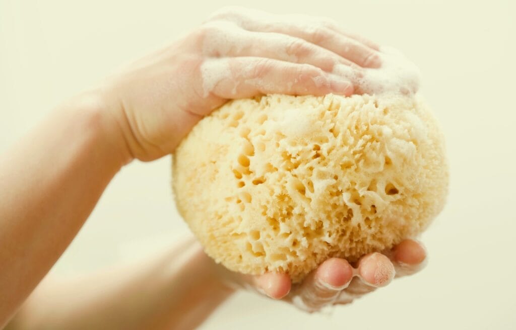 hand holding a sponge for bathing