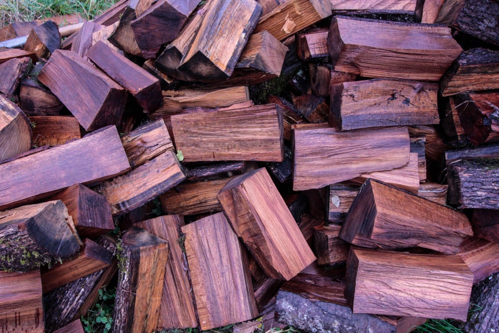 pile of wet firewood