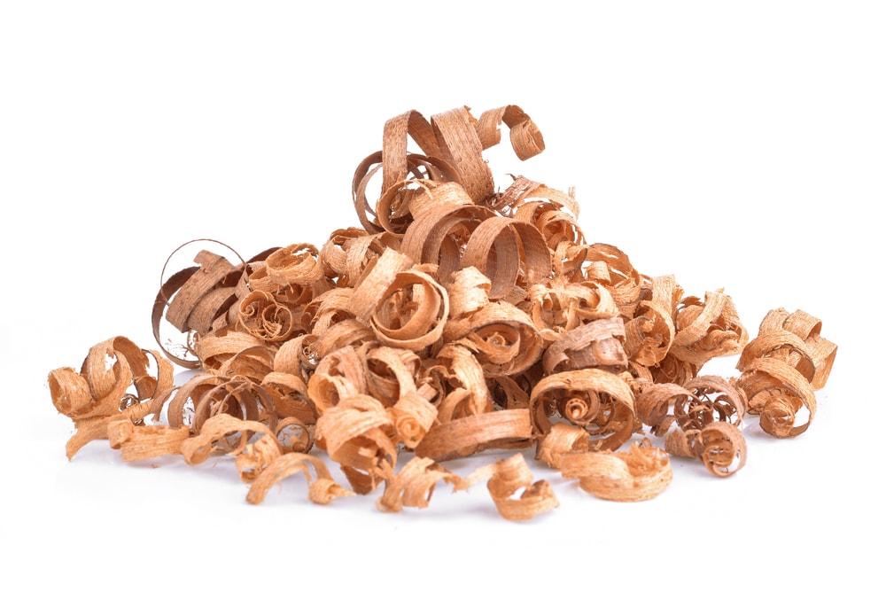 wood shavings on a white background