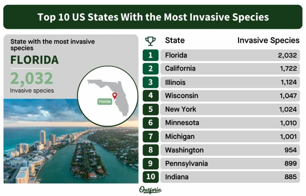 chart of US States with the most number of invasive species arranged from highest to lowest