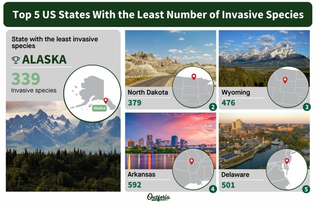 chart of the top 5 US States with the least endangered species