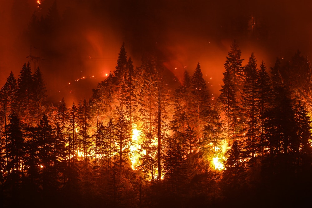 Eagle Creek Wildfire in Columbia River Gorge