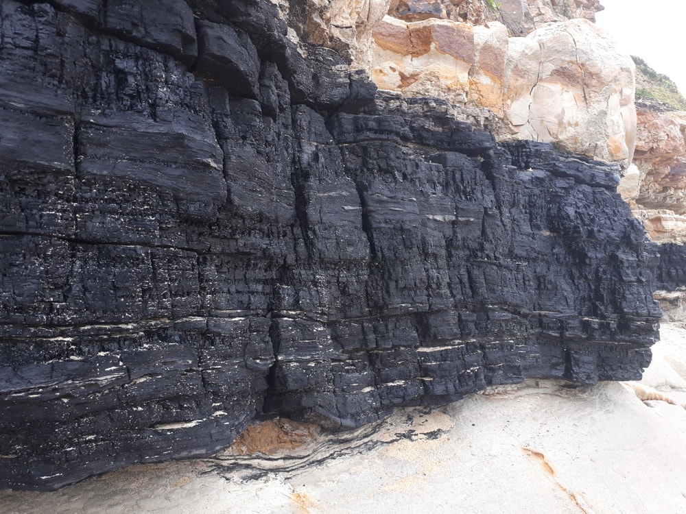 Natural coal seam deposit strata above ground on a beach Newcastle NSW Australia