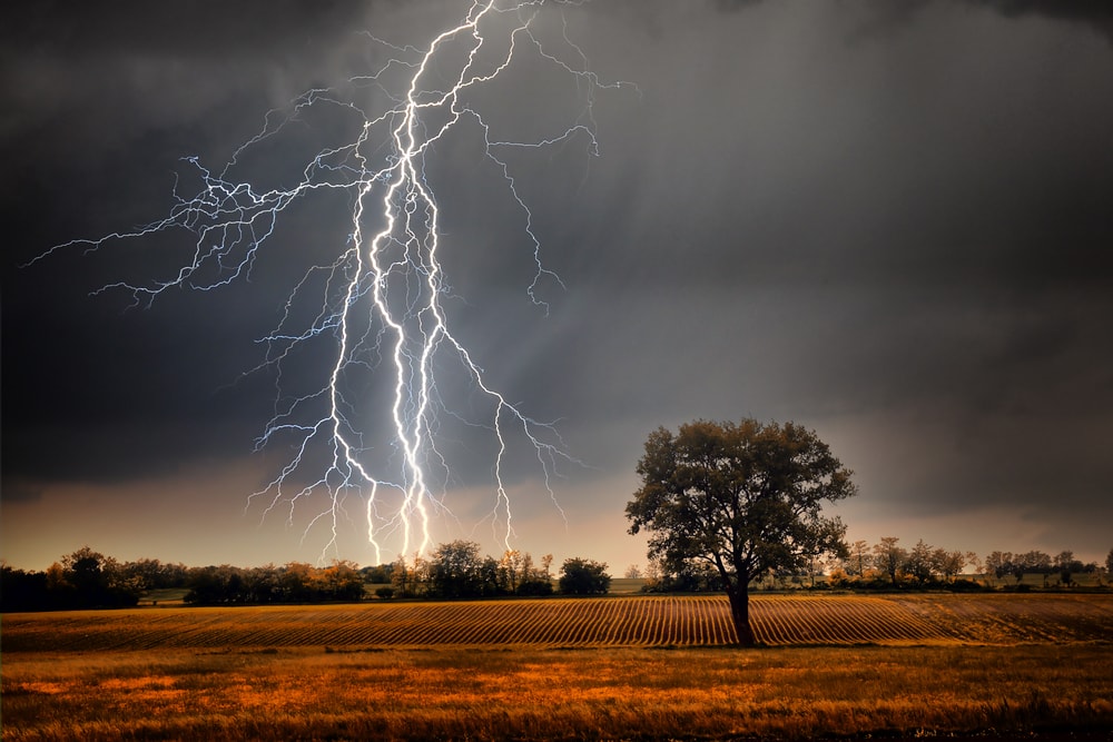 a lightning striking over a field
