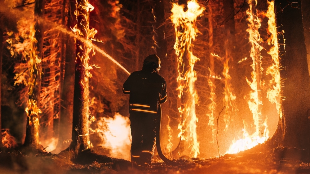 firefighter extinguishing a wildfire in the woods