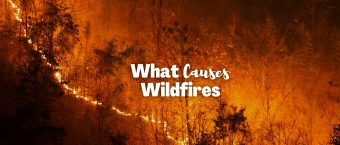 what causes wildfires featured image - 0723