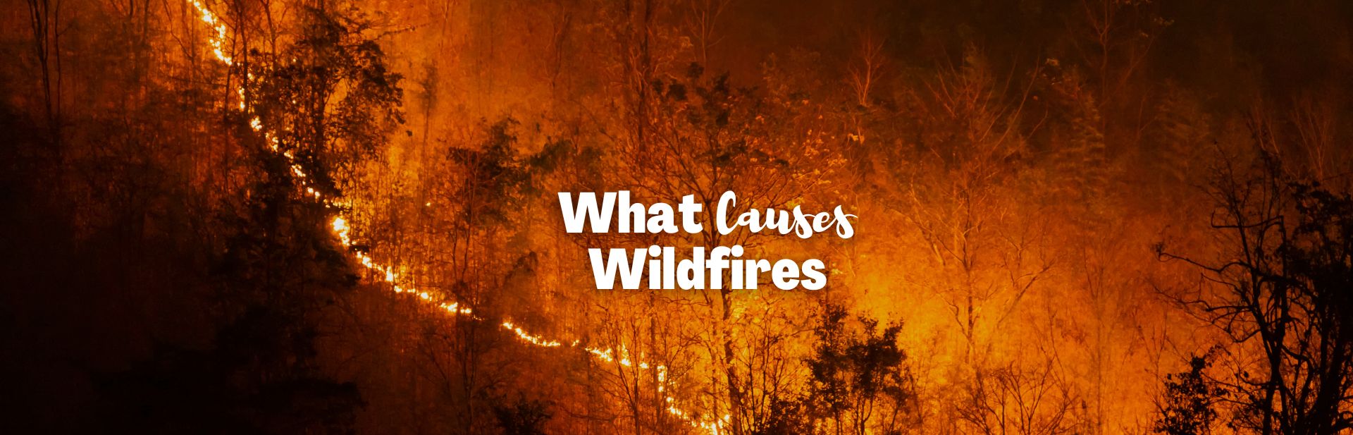 Man vs Nature: Understanding What Causes Wildfires
