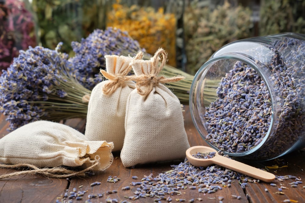 Jar of dry lavender flowers, sachets, bunches of dry lavender