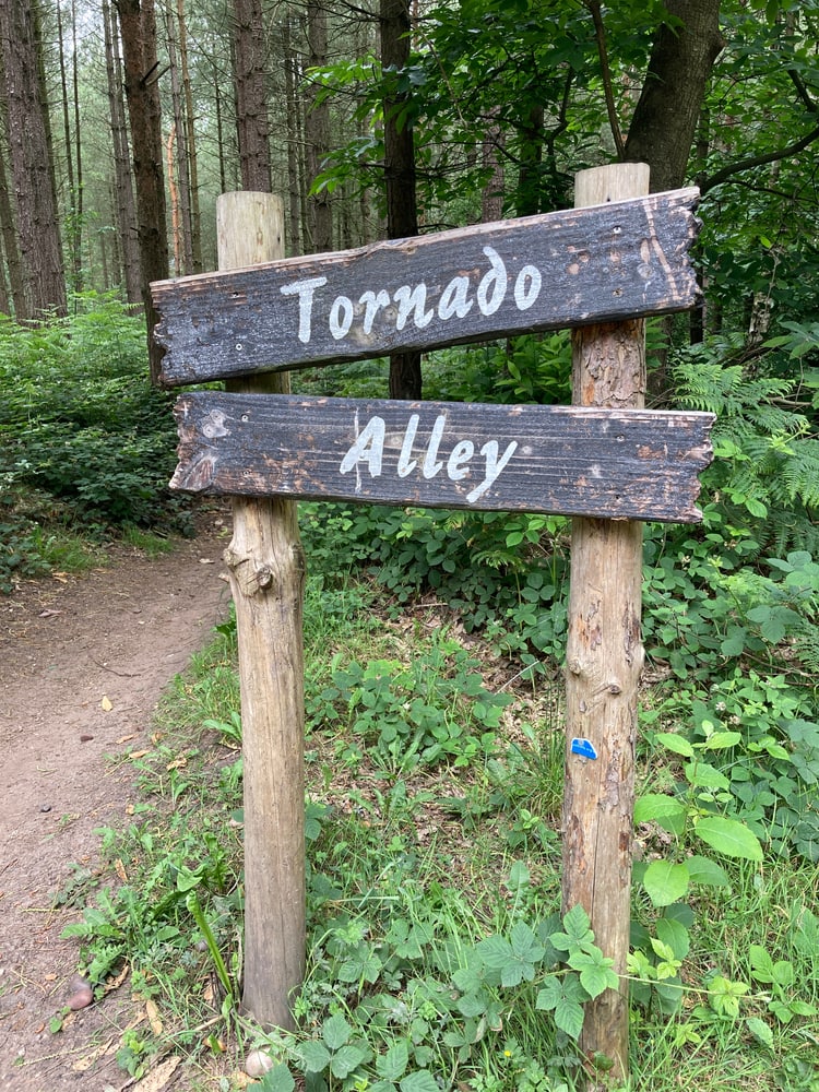 Sign of the tornado alley in the forest