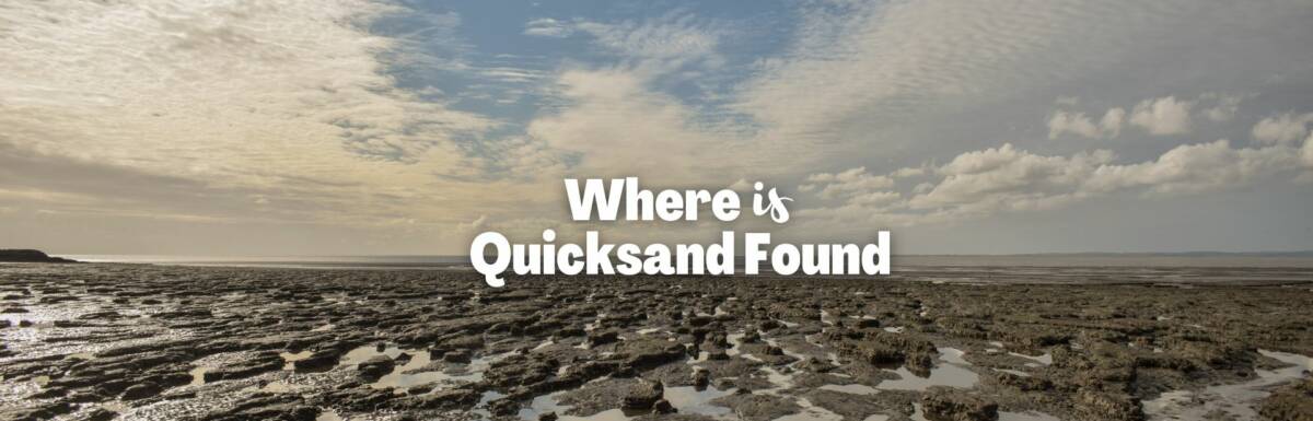 Where is quicksand found featured image