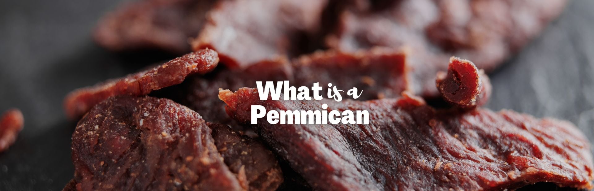 What is Pemmican? The Meatrimony of Jerky and Granola Bars