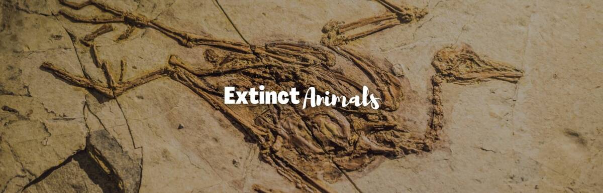 Extinct animals featured image