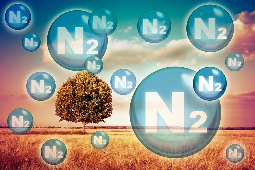 tree and nature concept with molecules labeled as N2