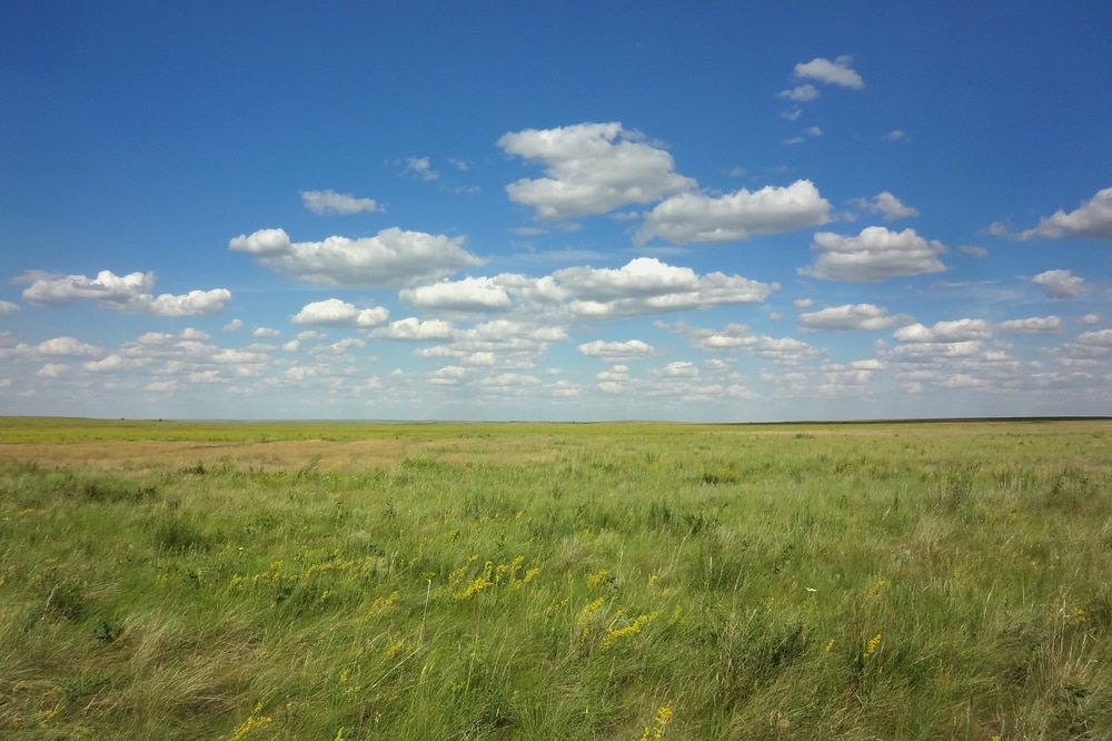 Temperate grassland with lots of clouds in the sky