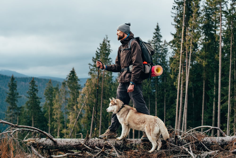 A hiker with his dog hiking ion the forest