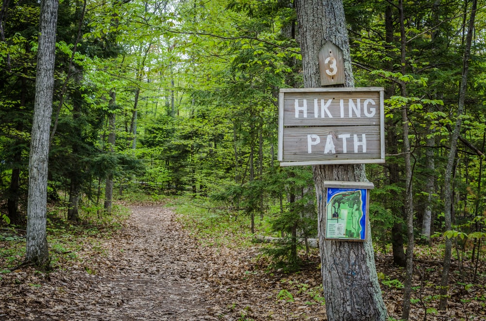 A hiking path sign on a tree
