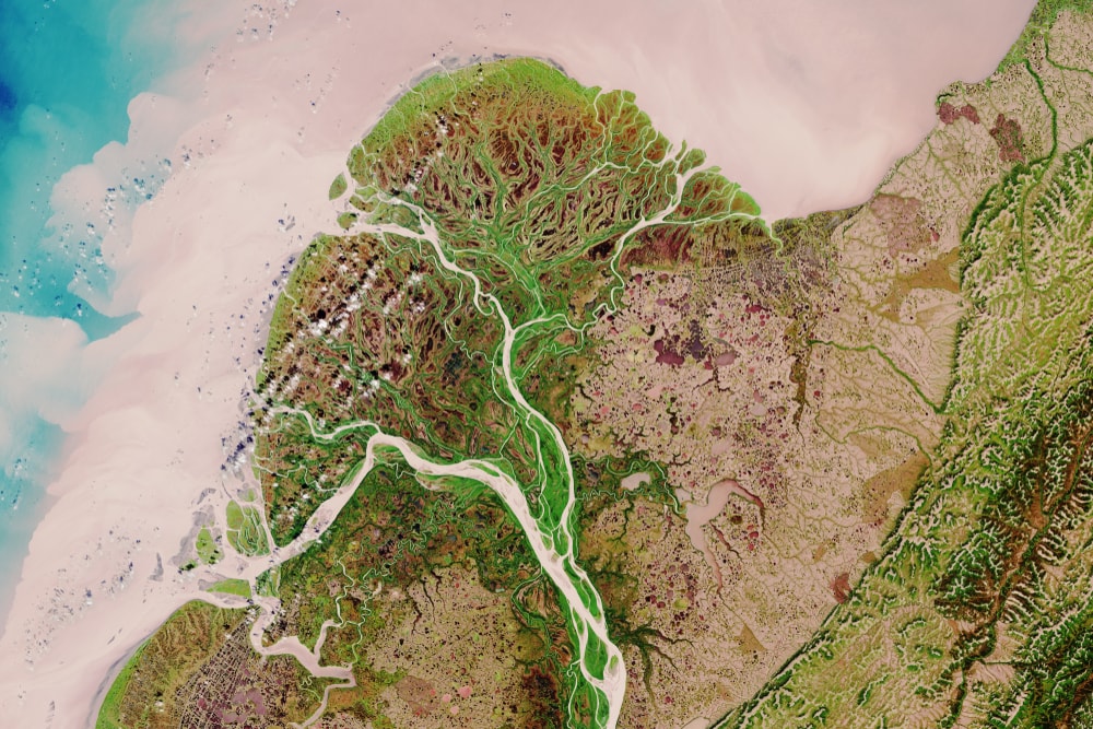Aerial view of a marsh