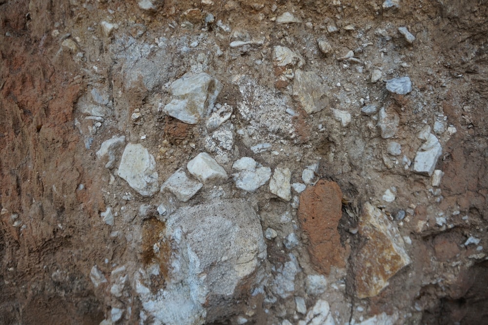 Non-foliated metamorphic rocks scattered on the floor