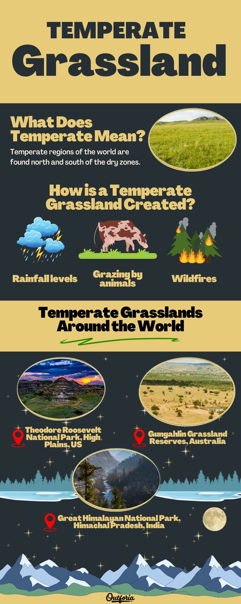 Chart of the Temperate grassland complete with pictures and facts