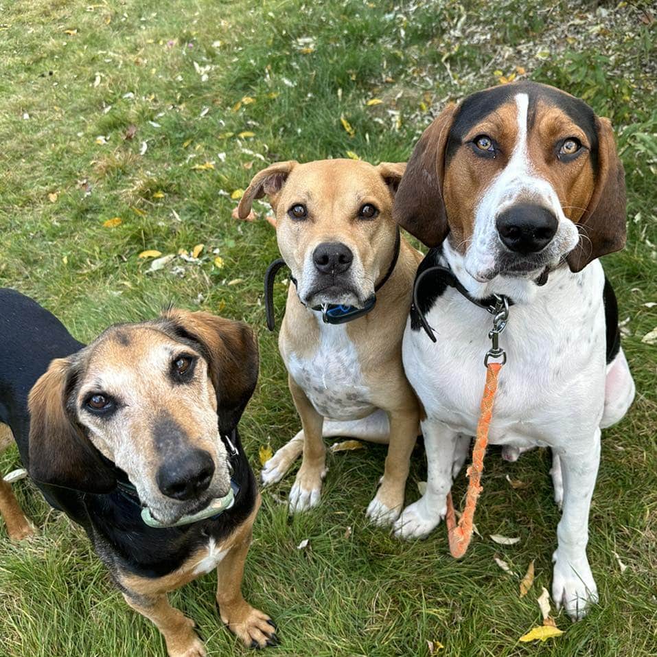 Columbo with his two brothers on a field