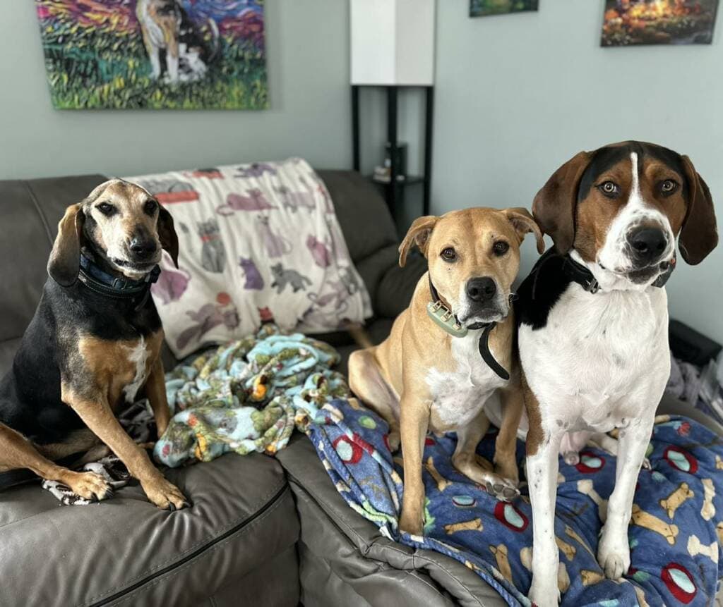 Columbo with his two other brothers on a couch