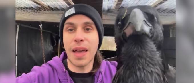 Lonely Crow Transforms into a Delightful Trickster in Unusual Friendship featured image