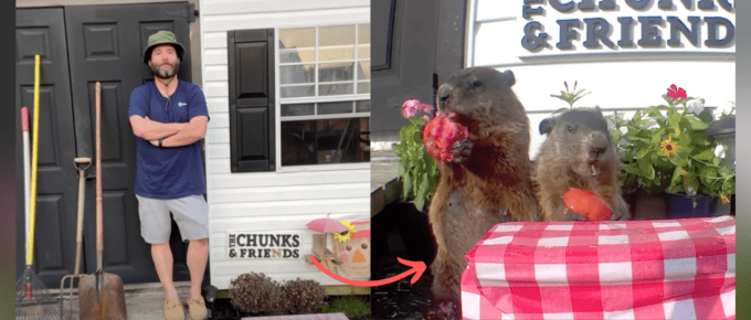 The Man Who Gave Groundhogs Their Own Garden featured image
