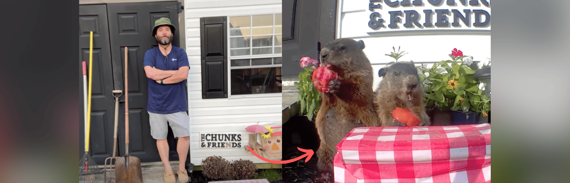 The Man Who Gave Groundhogs Their Own Garden: How a Groundhog Named Chunk Became a Viral Sensation