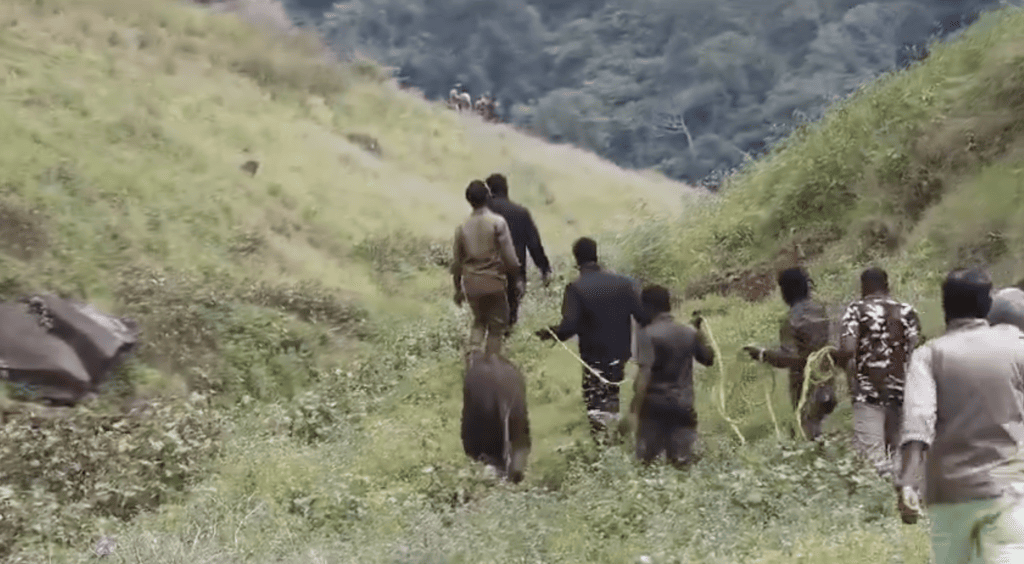 Rangers walking up the mountain with elephant