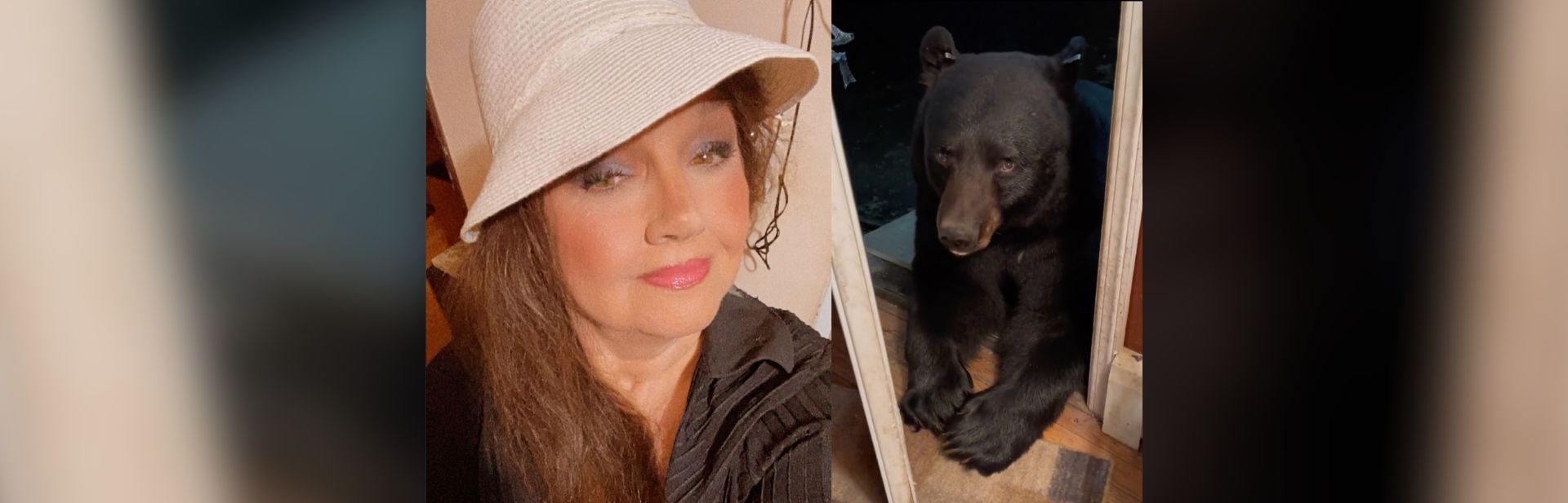 New Jersey Woman’s Unusual Bond with Porch-Visiting Black Bears Goes Viral