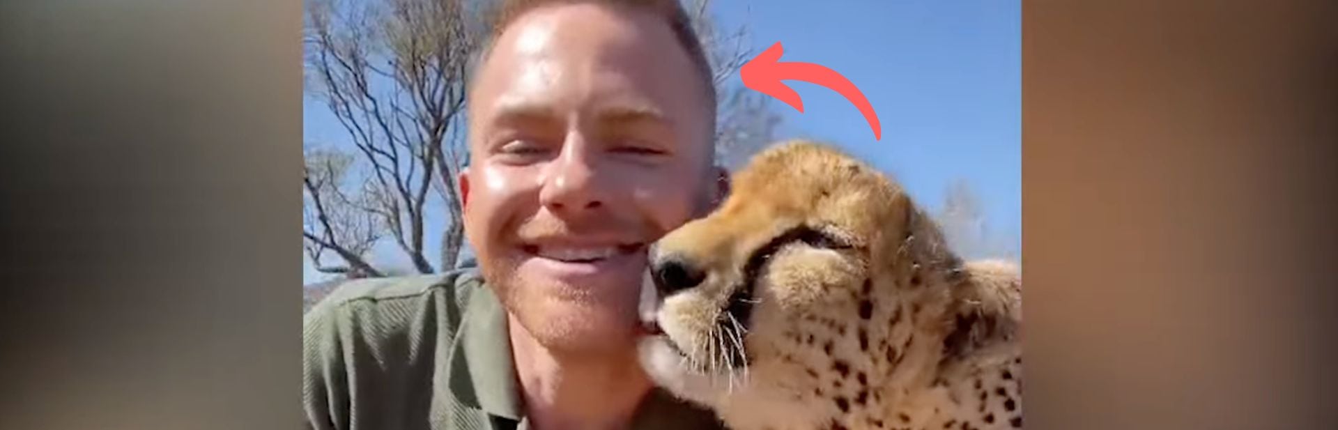Abandoned One-Eyed Cheetah Finds Love and Friendship With Unlikely Hero