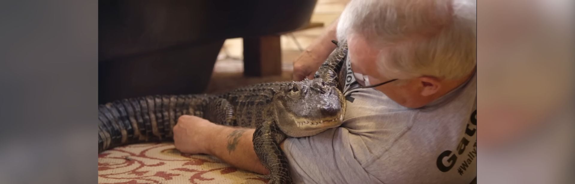 This Emotional Support Alligator is Turning Frowns Upside Down