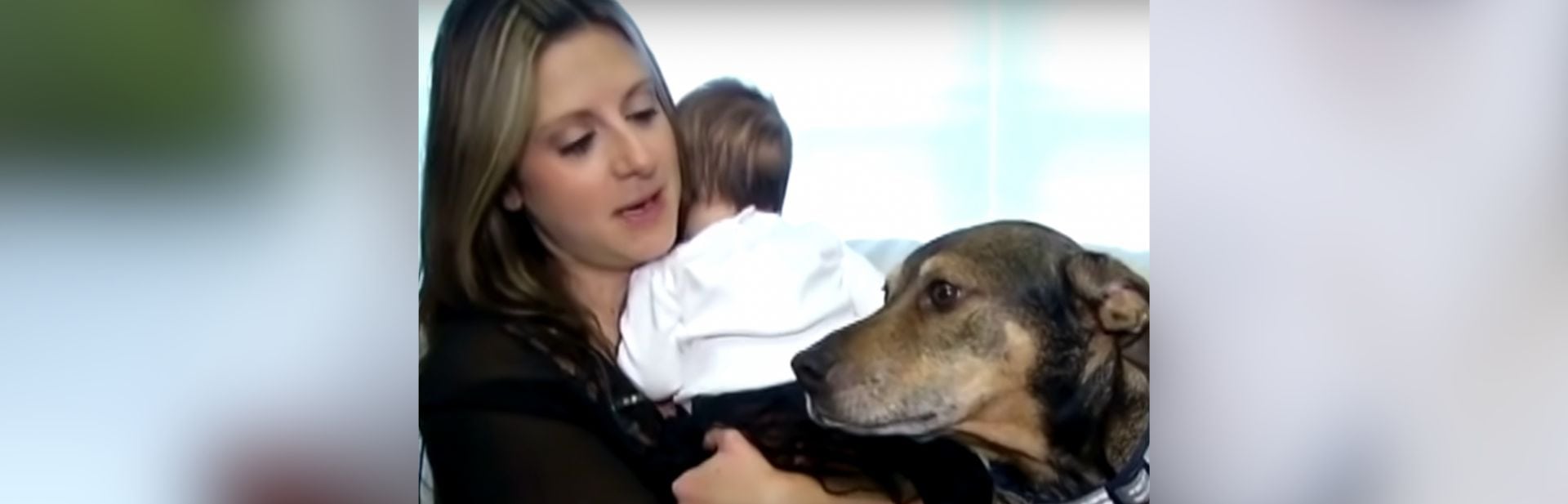 Rescued Dog Alerts Sleeping Family to An Urgent Crisis and Becomes an Overnight Hero