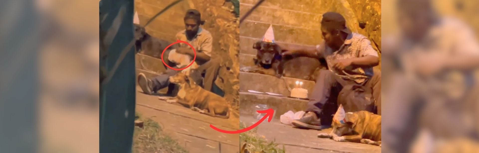 Homeless Man’s Tear-Jerking Birthday Surprise for His Beloved Dogs Goes Viral