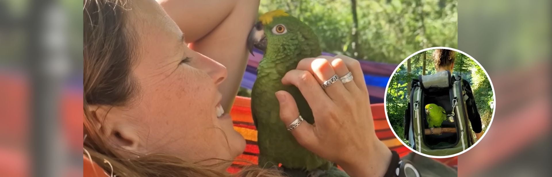 Lonely Parrot’s Life Finally Takes a Turn After Being Locked Away for Years
