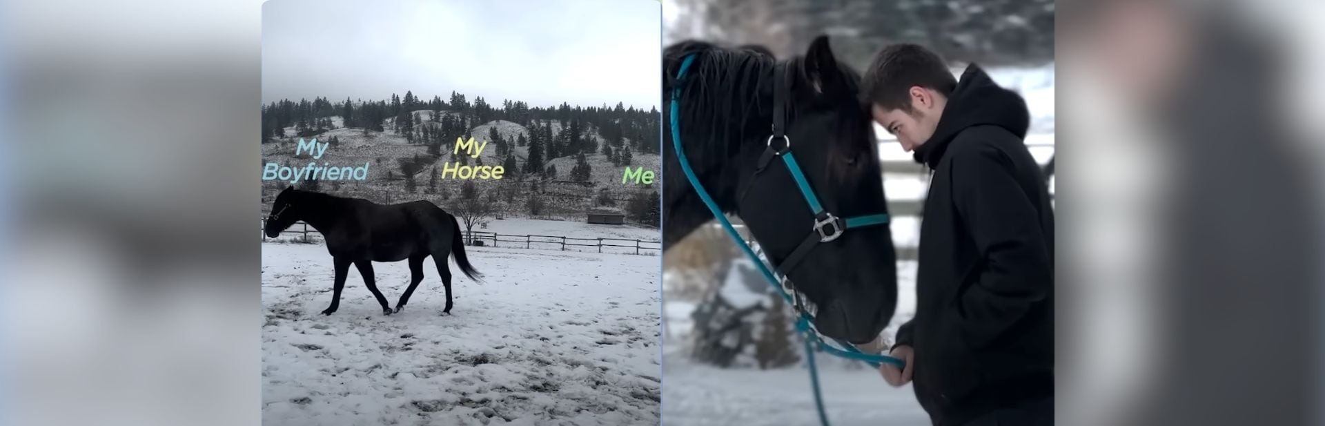 Mom’s Boyfriend Steals Horse’s Heart at First Glance in a Heartwarming Twist
