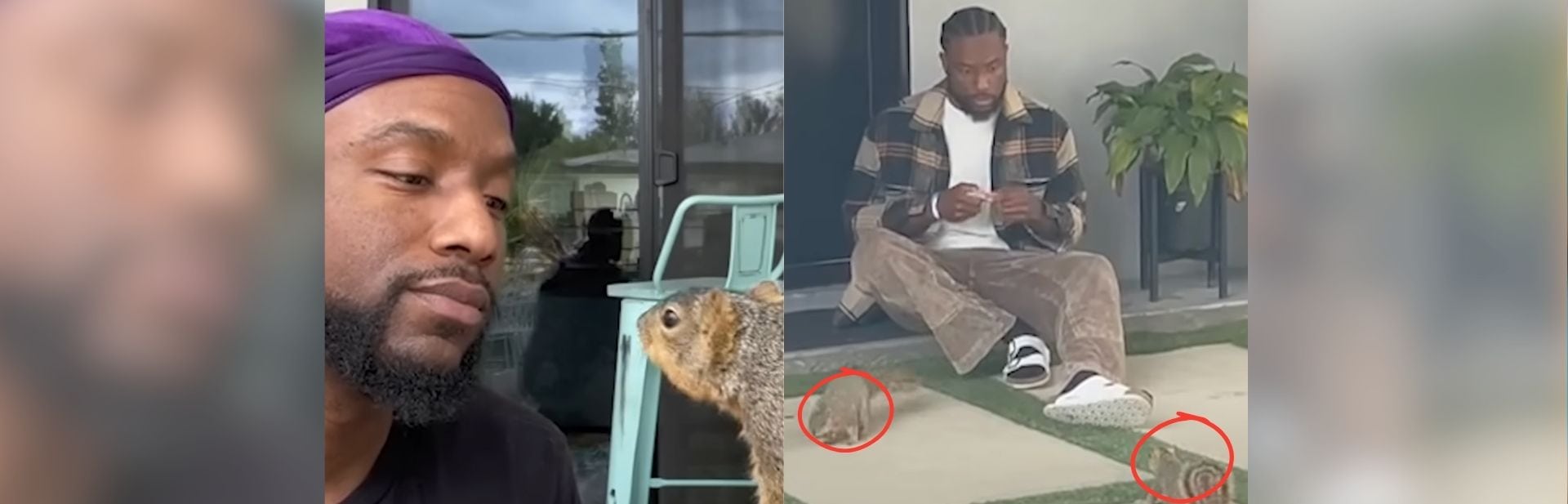 Los Angeles Man Befriends Balcony Squirrel and Becomes an Internet Sensation