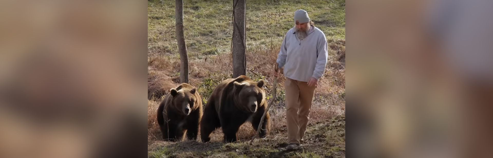 Forget Pet Dogs, This Man Has Two Full-Grown Bears in His Home